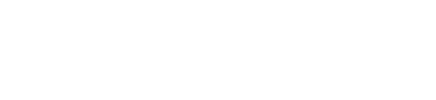 The Univeristy of New Orleans